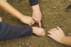 20241108_CEIP-EL-VALLE_ACCC-9