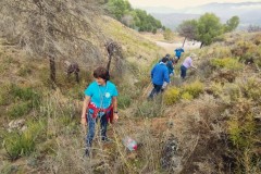 20241109_PLANTANDO-SEMILLAS-VS-11.jpeg