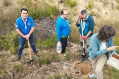 20241109_PLANTANDO-SEMILLAS-VS-16.jpeg