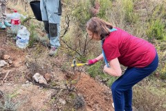 20241109_PLANTANDO-SEMILLAS-VS-5