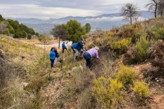 20241109_PLANTANDO-SEMILLAS-VS-6