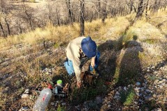 2024-11-24-Reforestacion-ValleScout-3