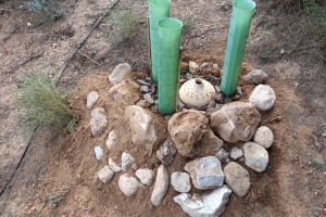 2025 01 ValleScout Taller de Jabon