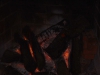 DSCF0009
