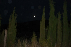 DSC01314