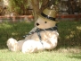 2010 24.- Barbacoa AGAE