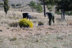 IMGP0409