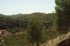 DSC00901