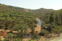 DSC00903