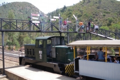 IMGP5423
