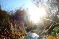DSC00161