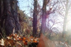 DSC00167