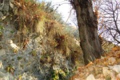DSC00168
