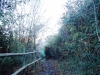 DSC00183