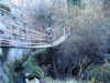 DSC00205