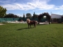 2013 24.- Visita al Campamento