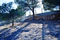 12 Marzo Fiesta Medieval (29)