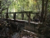 puente madera