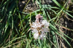 DSC_1465