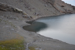 DSC_1947
