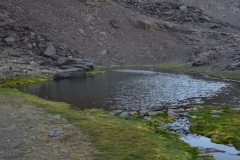 DSC_1980