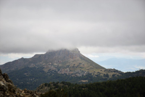 2021 05.- Circular Mimbres-Observatorio