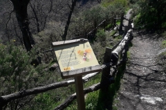 2021-04-20-Cortijo-Hornillo3
