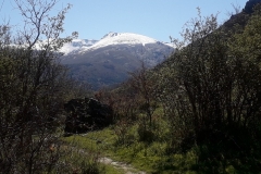 2021-04-20-Cortijo-Hornillo6