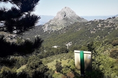 2021-05-06-Cortillo-Linillos-Alto-del-Majalijar-1