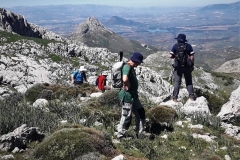 2021-05-06-Cortillo-Linillos-Alto-del-Majalijar-12