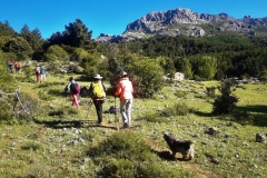 2021-05-06-Cortillo-Linillos-Alto-del-Majalijar