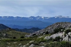 2021-05-30-Alto-del-Calabozo-10