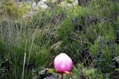 2021-05-30-Alto-del-Calabozo-11