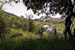 2021-05-30-Alto-del-Calabozo-12