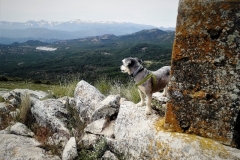 2021-05-30-Alto-del-Calabozo-5