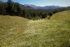 2021-06-06-Ruta-de-los-Puentes-11