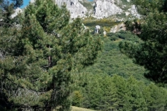 2021-06-06-Ruta-de-los-Puentes-3