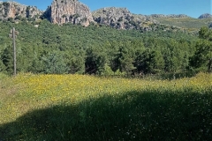 2021-06-06-Ruta-de-los-Puentes-4