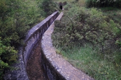2021-05-21-Fuente-de-los-Potros-11