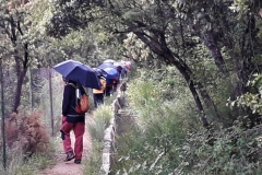 2021-05-21-Fuente-de-los-Potros-2