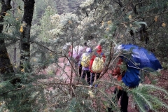 2021-05-21-Fuente-de-los-Potros-8