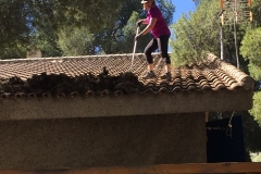 2019-05-12-12.16.08