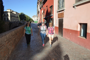 2019 15.- Paseo Granadino alrededor de la Alhambra