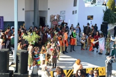 2020-FESTIVAL-CANCION-150204