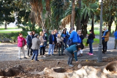 2020-PASEO-DE-LOS-SENTIDOS23