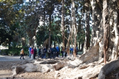 2020-PASEO-DE-LOS-SENTIDOS26