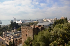 2020 Visita Alcazaba Málaga05