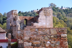 2020 Visita Alcazaba Málaga11