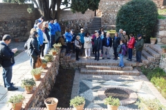 2020 Visita Alcazaba Málaga13