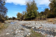 Gojar-6